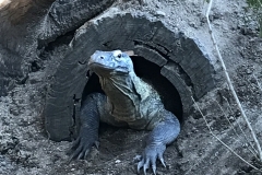 4EFEF4F3-D44E-4EFA-8B6D-87D77AE4127B