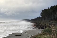 50A5D14F-4812-4591-8928-64A30BEF7528