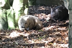 519D0131-8B8E-4037-BD64-61328554DE6B