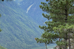 51E1EA23-4B77-4FCA-82BD-523920EFD236