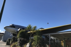 53AF9766-15DE-43D5-A9AB-EF83031845FE