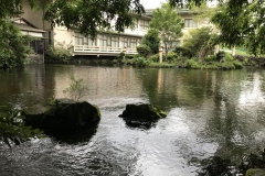 55312CCD-E042-4381-8DFD-3FE9645DEC6D