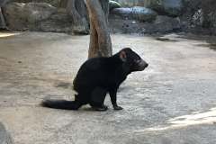 5869C83E-3F5D-4967-8DEA-7C6C2C4647E9