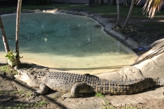 5A680B8E-4C88-4095-BE67-0E903C6AE488