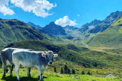 5CF65C2F-84A4-431D-A045-4365EC8E0E17