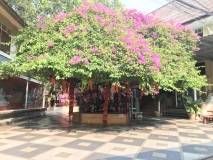 60691A59-5DB1-427D-BC91-11776DD7E77F