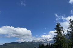 66535EE8-98DC-4BDB-B540-74D5C8D375DA