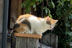 6695D08F-B2FC-4BD4-8D2F-1BDA4A558CDA