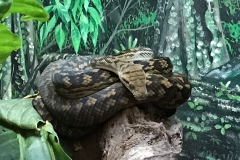 67247E05-F9E3-4CA2-B242-EC5C1BA9B3C4