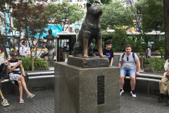 67DAFC1A-3DA0-43D5-A647-4215B8BBB4AC