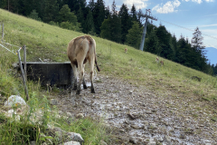 688FAC4E-8288-4076-95D6-BDC39FC315F4