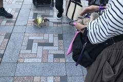 68B6BE29-775B-4F92-8776-EE26B4FC600F