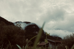 6B9C3549-D019-4B13-B7A1-202119B818CB