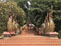 6C174216-C5C5-4D59-830E-9DA28B32B52F