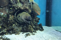 6DCAF393-B785-40ED-994D-519156A5065C