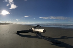 71E13FC2-7568-454A-A3A9-ABE5ACA8070C