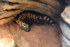 74FDCED8-69D1-401A-8E92-AC609818FD8C