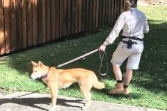 75E3FB84-84A0-43B9-80EC-470C679C04D0