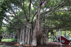 768B22ED-D82B-41C3-B1C4-14075077F0C2