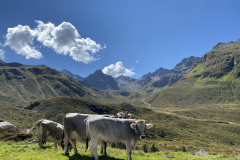 7A9197BF-DBD4-4DDC-80EE-84717A3AAF52