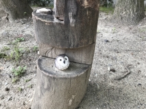 7DBA4254-3F47-4EF0-B784-409188CCE1DC