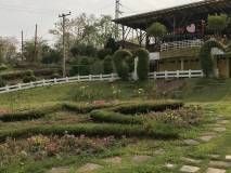 81568DC4-D04F-4D31-A3EF-CE729C1835AE