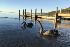 878B4FB8-A270-42C8-B483-7B291572E358