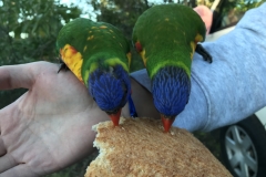 8814EA6C-804E-40C0-9760-B95F4DF1386D