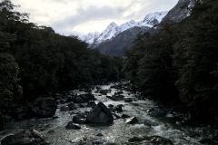 8921C006-73D0-4A1B-AEBE-DEFF01456C80