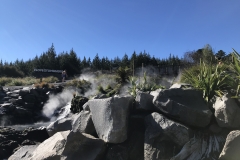 8A3CB766-43AC-4FC3-9901-1BC9EB9B965B