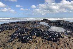 8F5133CF-5E32-4779-9E68-47DAC19396F1