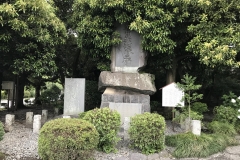 90E41A25-1EC3-4D17-A78D-061790959B86