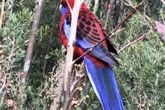 923B85FD-7B24-4AF4-9E50-B24D2D6F3F18