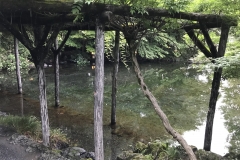 963656F7-2DF2-49A1-BFC0-7F7ACF175B69