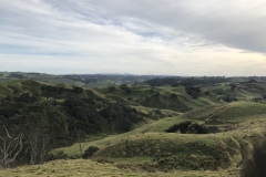 97E03A8B-F6C8-4C14-BA2E-BBD31D1F1D83