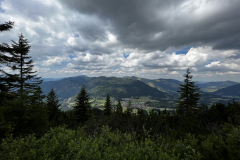 9DE864D1-C148-403C-8F4E-5BAA856B32CF