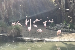 A1CFD3FE-2CB7-4034-BA25-3A2022C19DF2