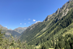 A49BBCC1-EB86-41AF-AE5B-60C8A05BDEE4