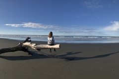 A64ED081-BB02-4264-A4C0-DF3B381F892A