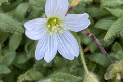 A8346CFF-14B1-47C4-8220-E8BC0805104B