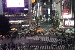 ACB164A8-203A-4090-BEA4-3A64D2154AE6