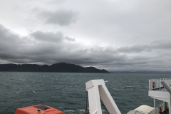 AFD3F69C-A79D-462E-9FC0-62A157B80E4A