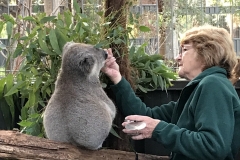 B2D27FCB-2BD2-4737-8E3A-B2CAF496E7C2