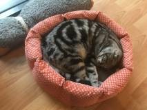 B4BE56B7-5963-43F5-B927-E11804685FD3