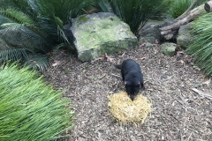 B4D0DF7C-8063-41C9-A7F0-0BE74FD6CE07