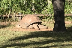 BA2EA7E8-CBB2-4572-B5BB-33F3663AB6CB