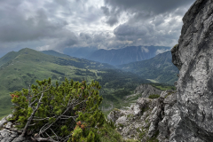 BA3D9923-6608-4A1D-AAEE-C39877A1401C