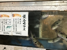 BC28AAD7-072B-4113-BC11-00E0E12043C8