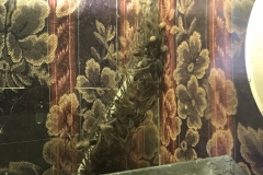 BC46447E-E354-490A-BAAC-28EB6D084F73