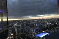 BE7E9CE2-2B07-42FC-965C-1D3D986F2541